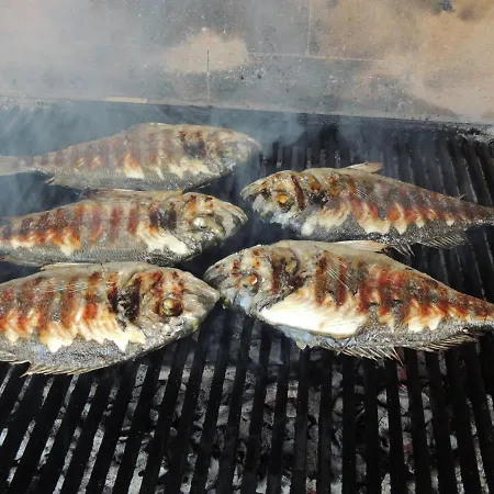 The Art Of Mediterranean Living