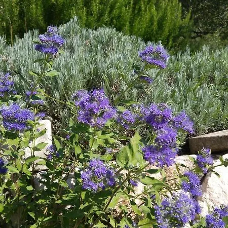 Apartment The Art Of Mediterranean Living Makarska