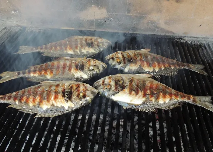 The Art Of Mediterranean Living