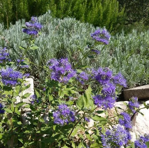 Apartment The Art Of Mediterranean Living Makarska